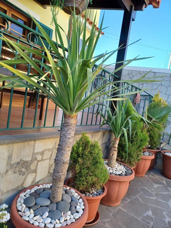 House Near Cr7 Museum Villa Funchal  Eksteriør bilde